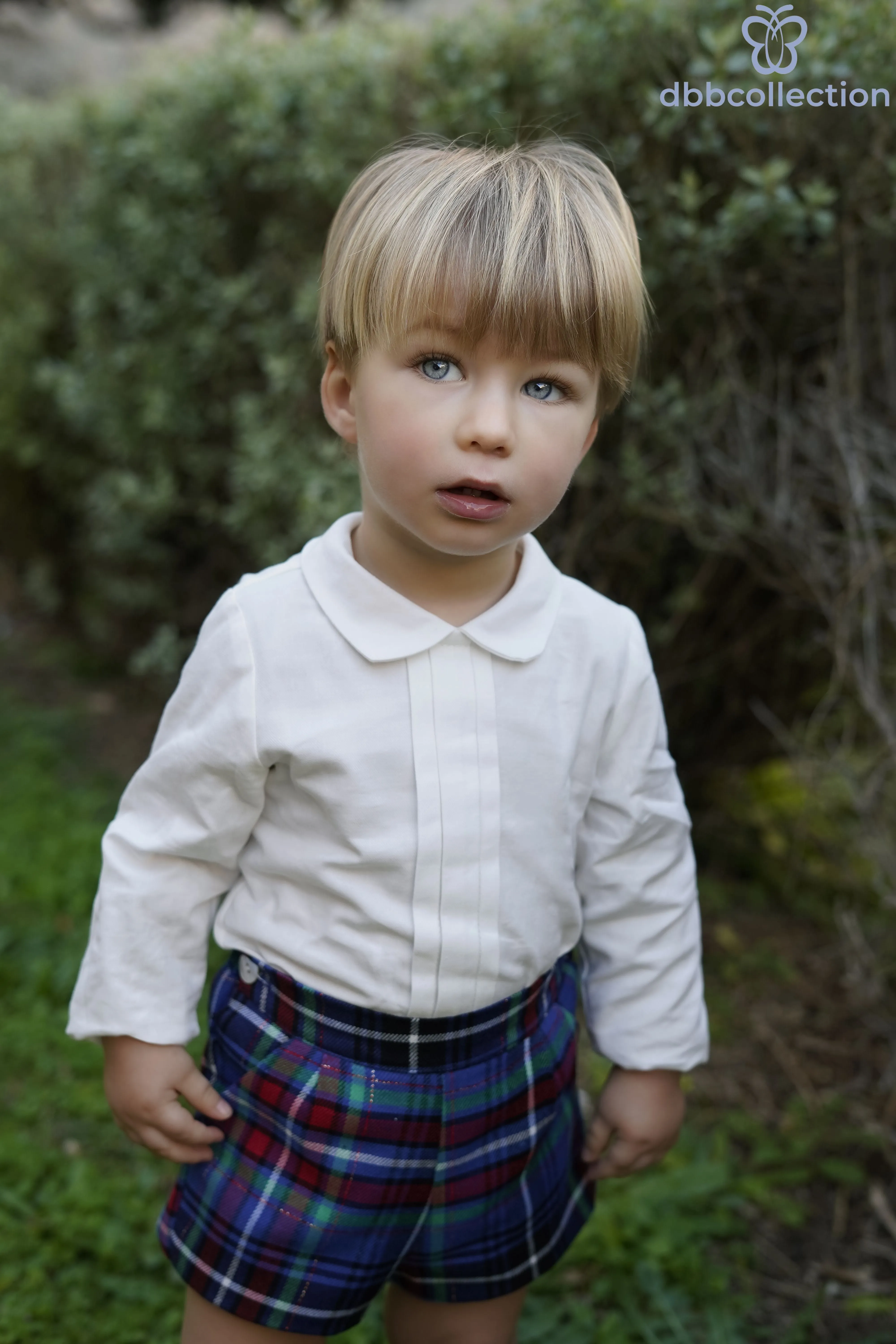 DBB Collection AW24 - Boys Blue, Green & Red Tartan Shorts & Shirt Set with Matching Green Sweater