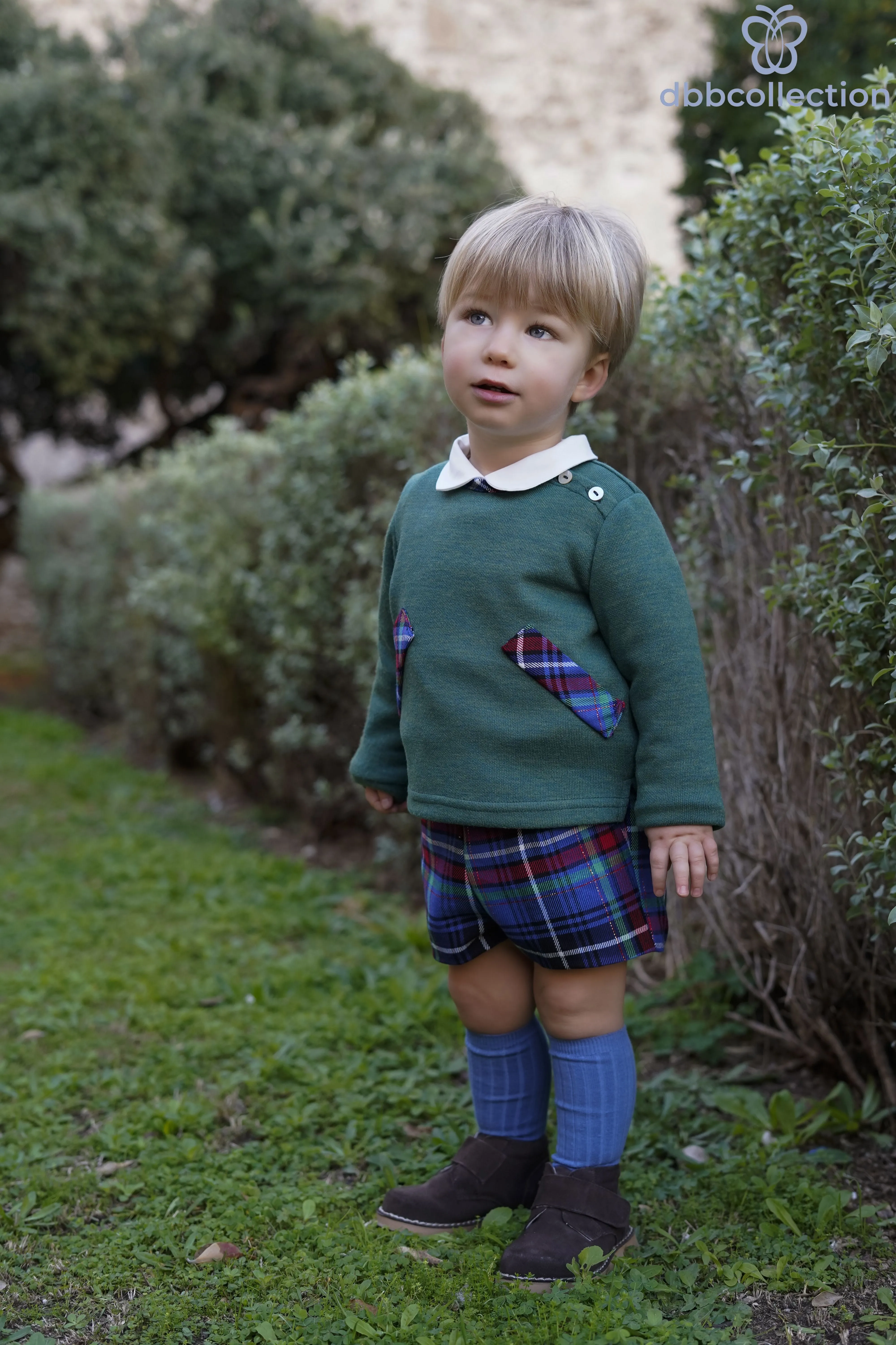 DBB Collection AW24 - Boys Blue, Green & Red Tartan Shorts & Shirt Set with Matching Green Sweater