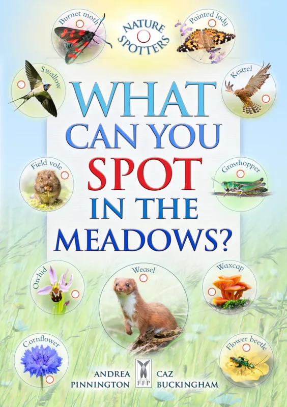 Nature Spotters What Can You Spot in the Meadows Educational Book